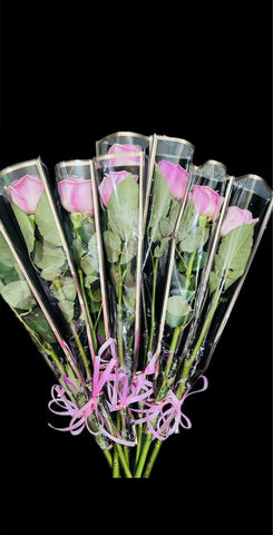 £5 Individually Wrapped Blush Rose (Minimum of 10)