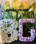 Boy or Girl Gender Reveal For Hire